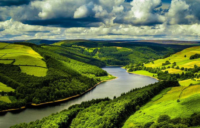 River in Vivid Natural Light — Nature wallpaper