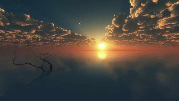Sky of Sunrise in Navy Tones — Sunsets & Sunrises wallpaper