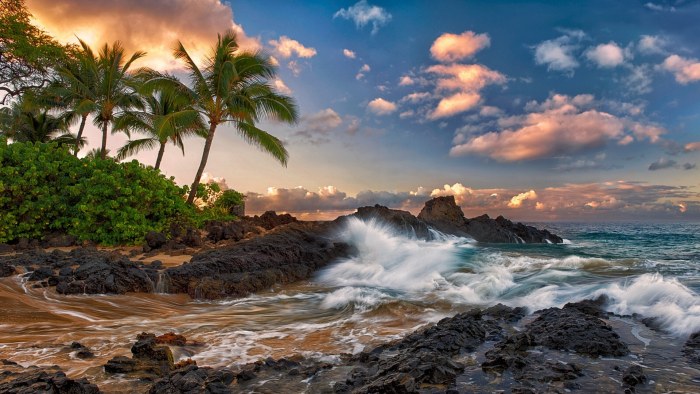 Tropical Coastal Sunset — Nature wallpaper