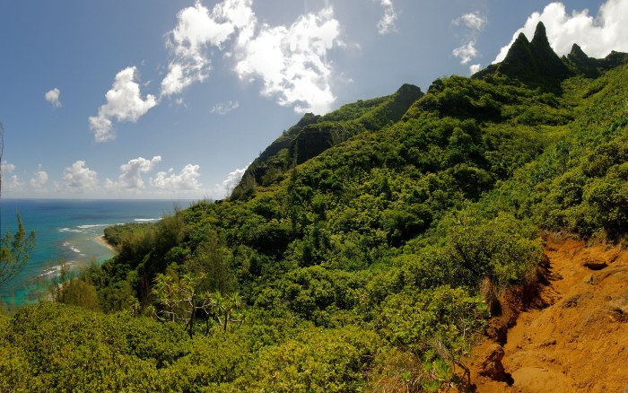 Lush Tropical Coastal Mountains Wallpaper — Nature wallpaper